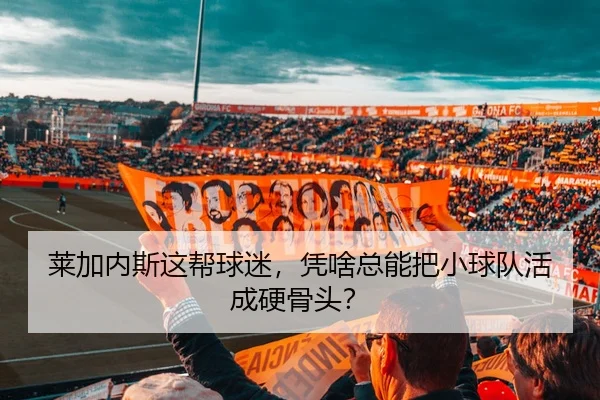 lai-jia-nei-si-zhe-bang-qiu-mi-ping-sha-zong-neng-ba-xiao-qiu-dui-huo-cheng-ying-gu-tou-2-152.jpg