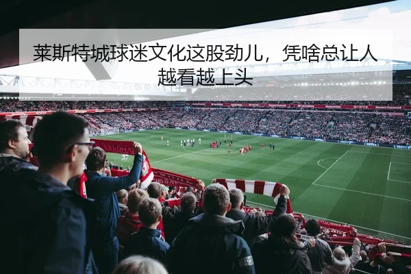 莱斯特城球迷文化这股劲儿，凭啥总让人越看越上头