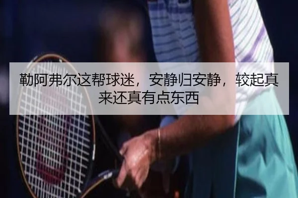 勒阿弗尔这帮球迷，安静归安静，较起真来还真有点东西